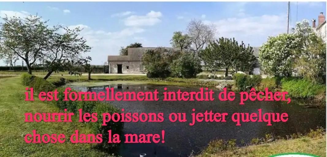 Gite Chez Jeannot Azay-le-Ferron Экстерьер фото